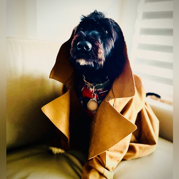 Meet Hal - Picture 14 of 16